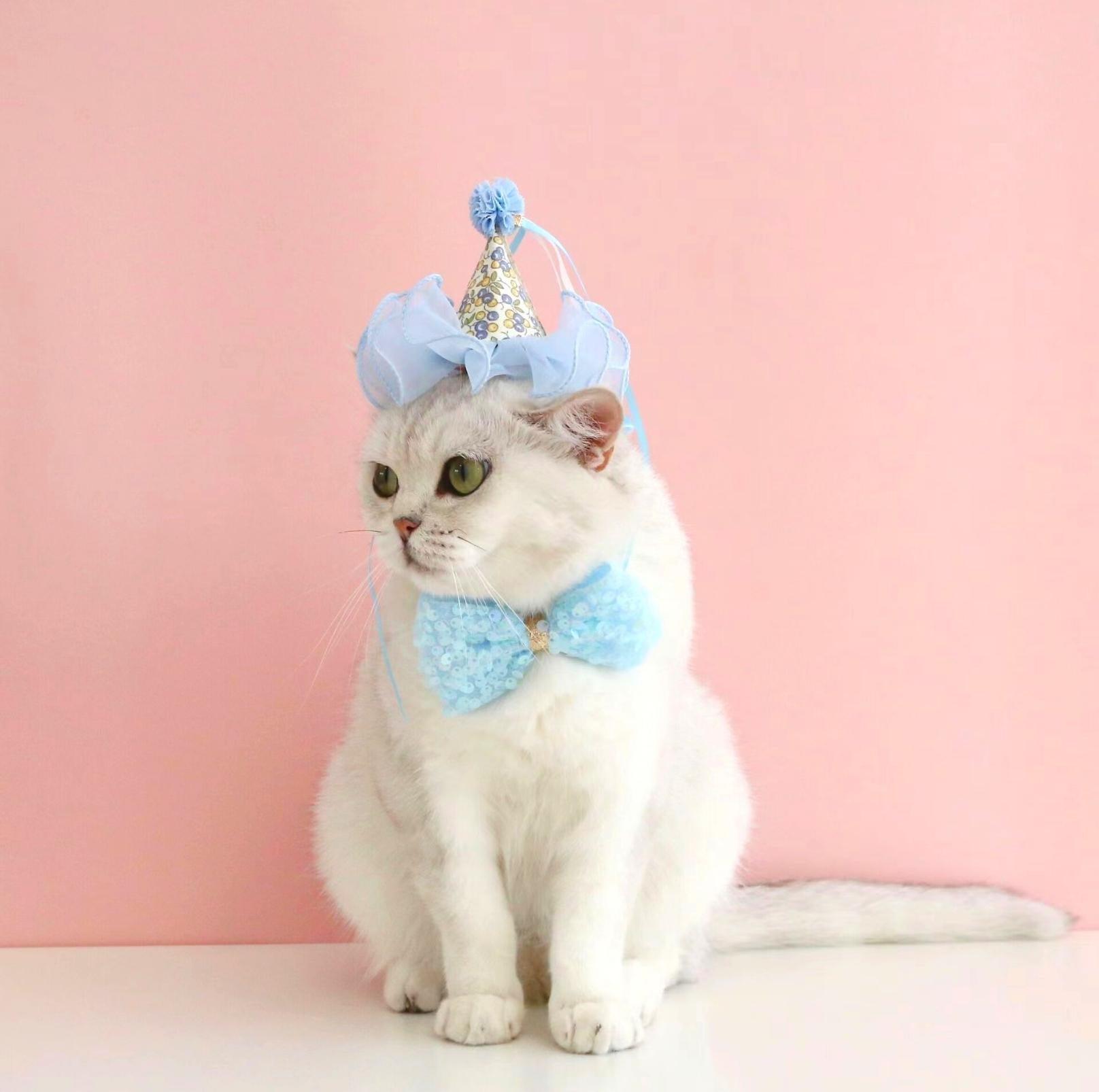 Floral Mesh Lace Accessory Set: Pet Birthday Hat & Bow Tie Combo - {{product.type}} - PawPawUp