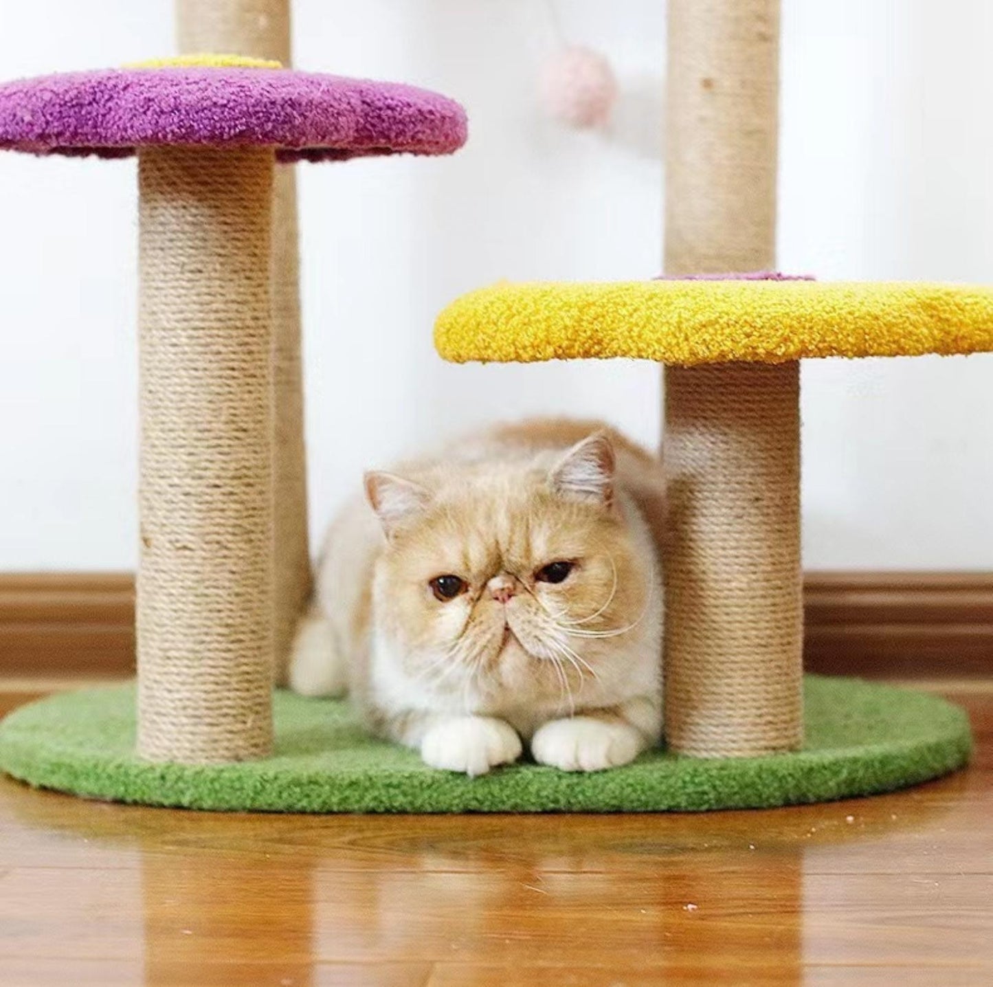 Flower Petal Cat Tree Multi-Platforms with Bed and Scratching Posts - {{product.type}} - PawPawUp