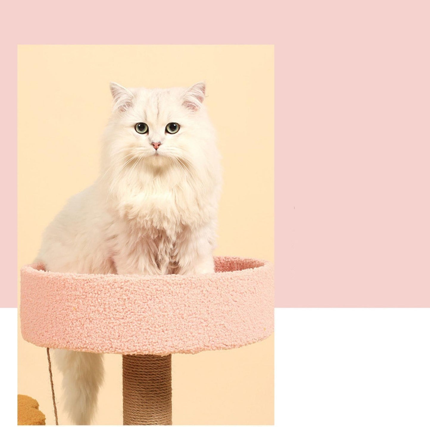 Flower Petal Cat Tree Multi-Platforms with Bed and Scratching Posts - {{product.type}} - PawPawUp