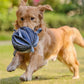 Foldable Ball-Shape Round Pet Snuffle Mat Dog Puzzle Training Toy - {{product.type}} - PawPawUp