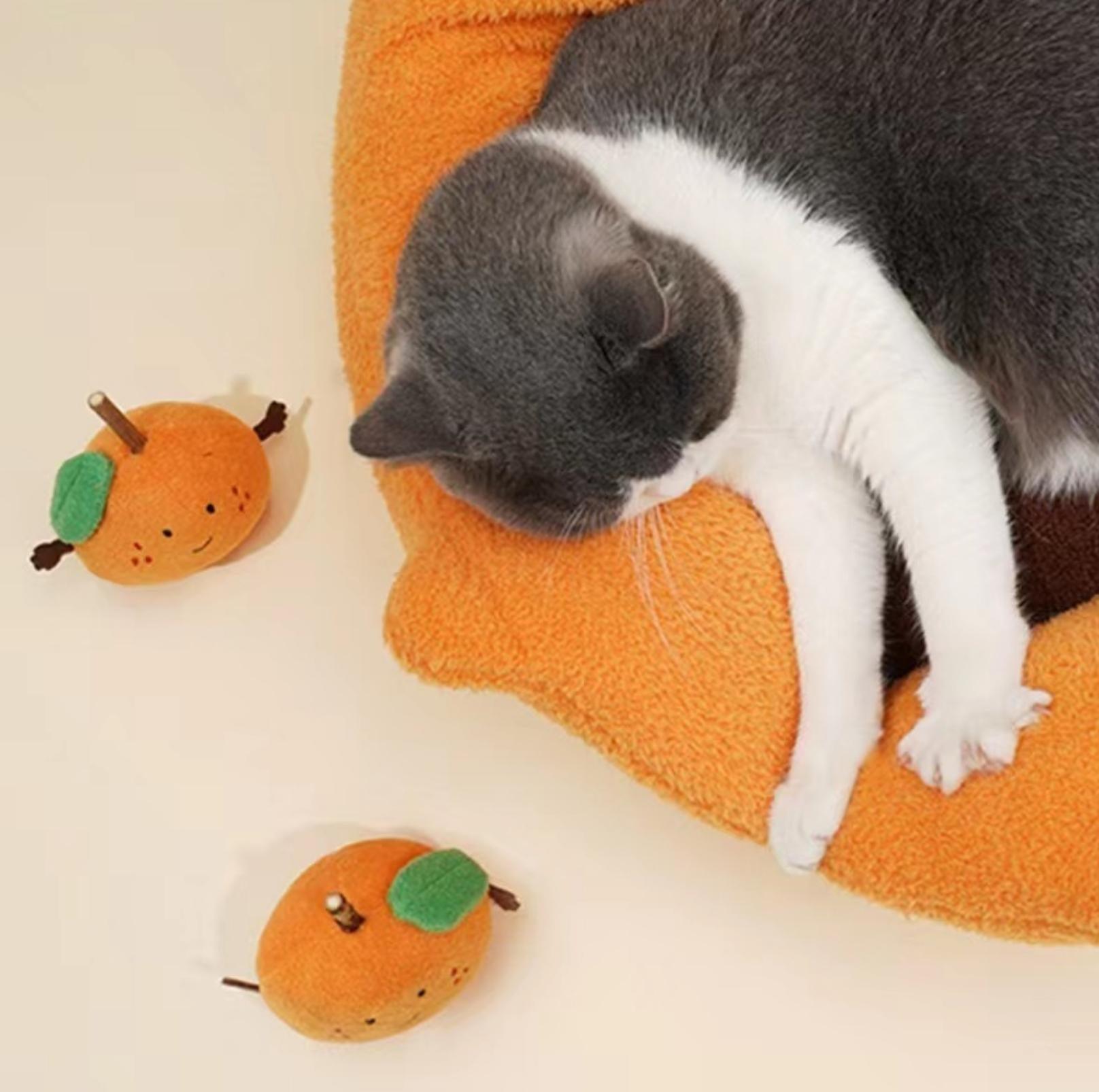 Orange 2024 cat bed