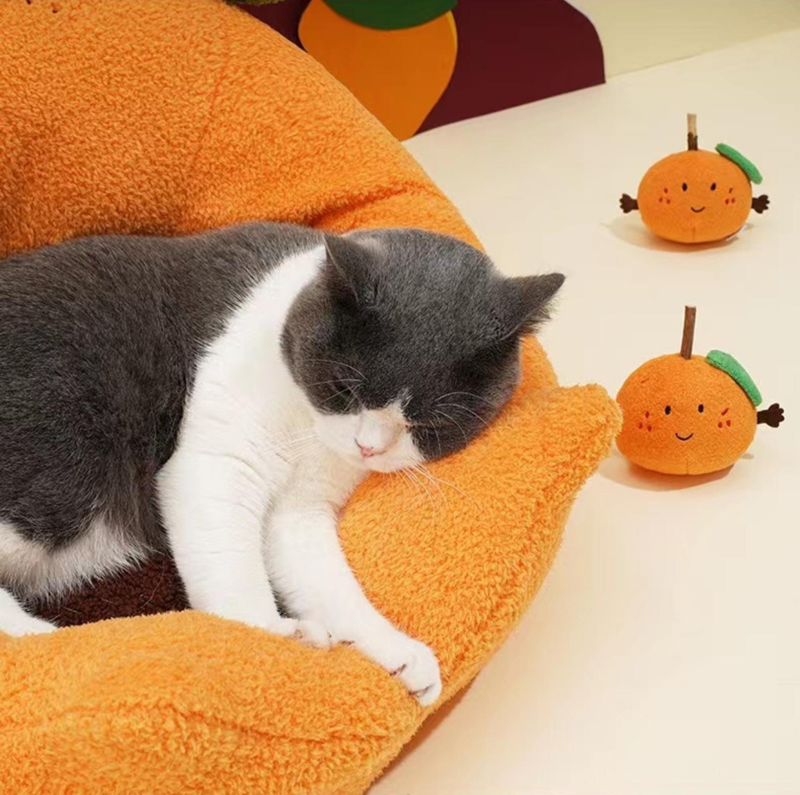 Orange shop cat bed