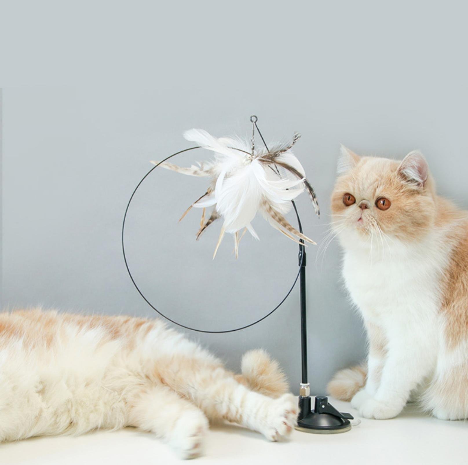 Free Your Hands: Extended Elastic Wire Cat Stick Teaser Cat Toys - {{product.type}} - PawPawUp