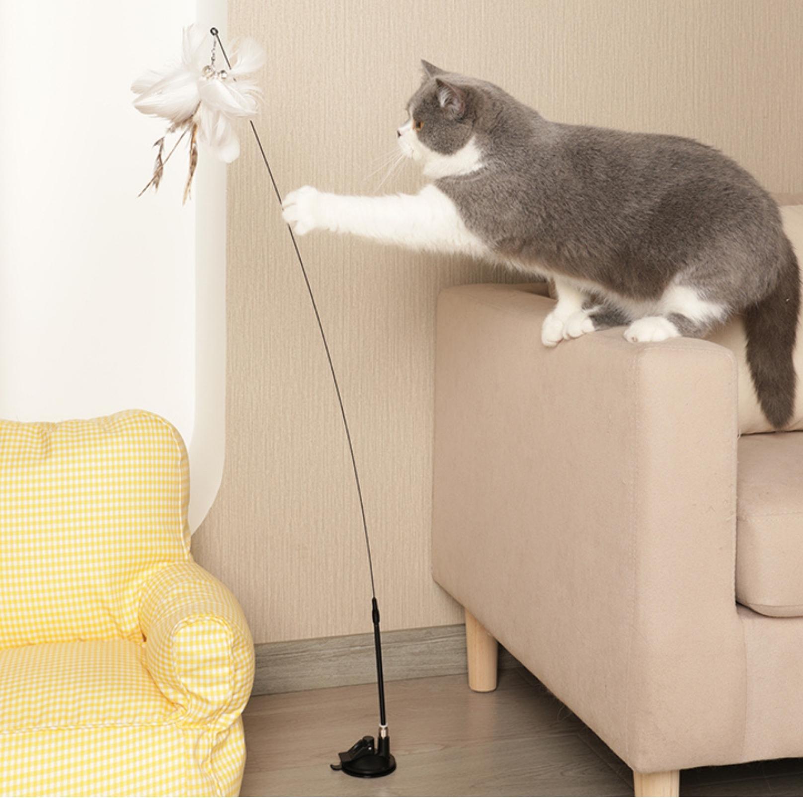Free Your Hands: Extended Elastic Wire Cat Stick Teaser Cat Toys - {{product.type}} - PawPawUp