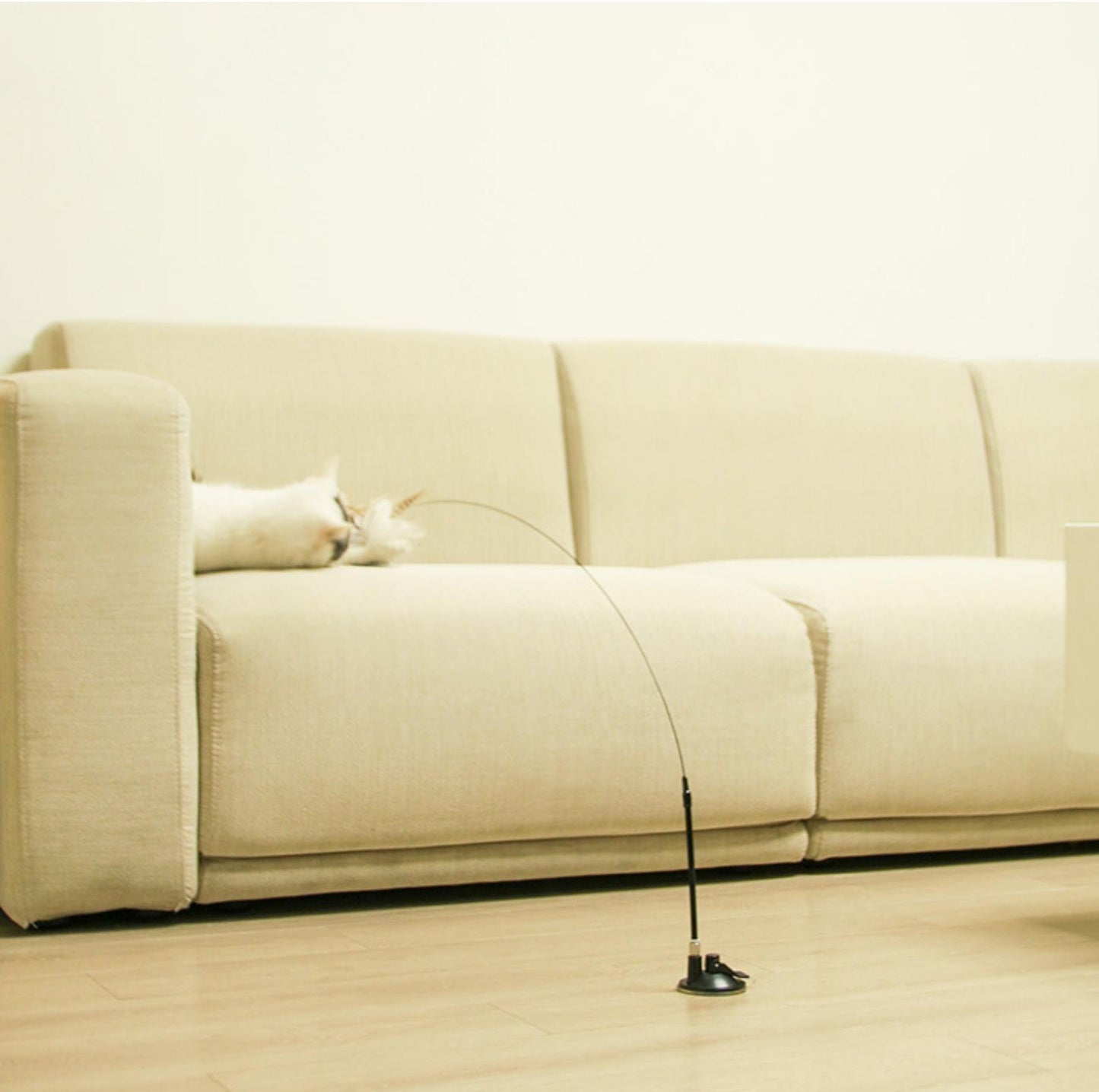 Free Your Hands: Extended Elastic Wire Cat Stick Teaser Cat Toys - {{product.type}} - PawPawUp