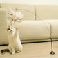Free Your Hands: Extended Elastic Wire Cat Stick Teaser Cat Toys - {{product.type}} - PawPawUp