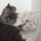 Free Your Hands: Extended Elastic Wire Cat Stick Teaser Cat Toys - {{product.type}} - PawPawUp