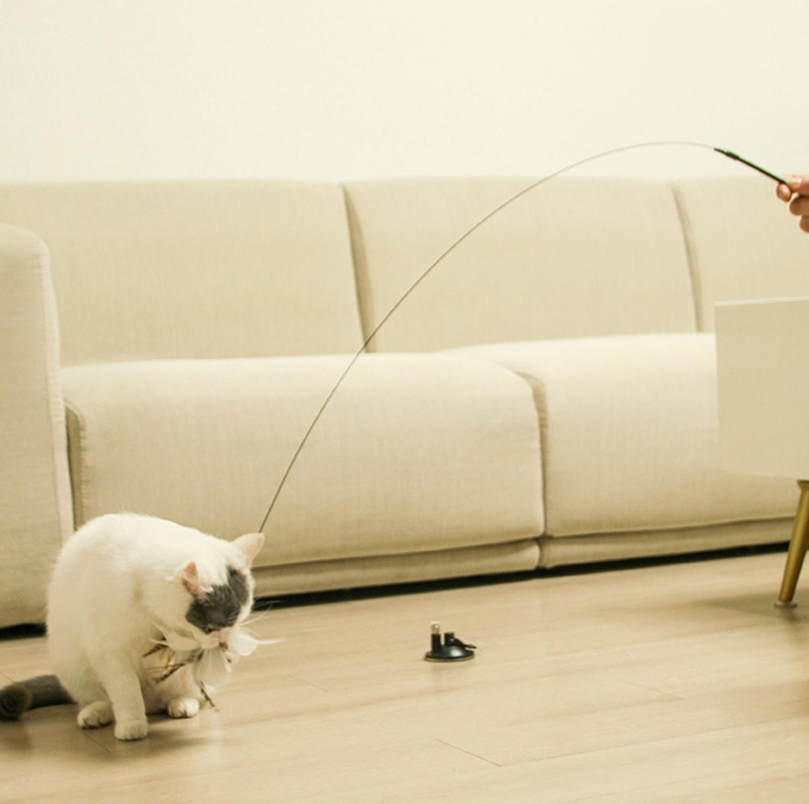 Free Your Hands: Extended Elastic Wire Cat Stick Teaser Cat Toys - {{product.type}} - PawPawUp