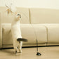 Free Your Hands: Extended Elastic Wire Cat Stick Teaser Cat Toys - {{product.type}} - PawPawUp