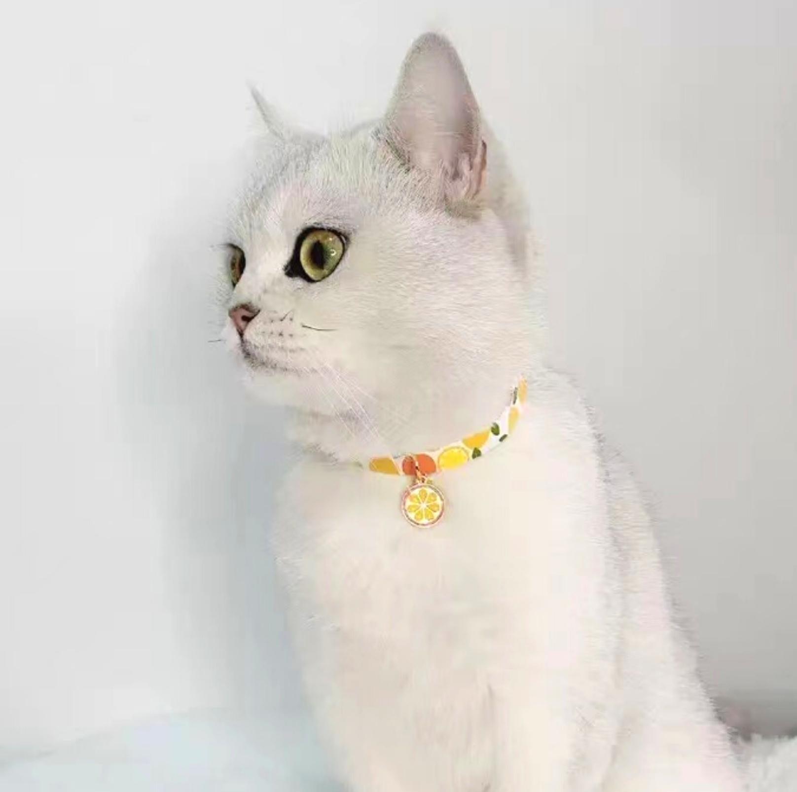 Fruit Series Pendant Style Adjustable Pet Collar - {{product.type}} - PawPawUp