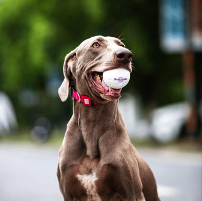 GiGwi Pop Pals - Hybrid Ball Dog Toy - {{product.type}} - PawPawUp