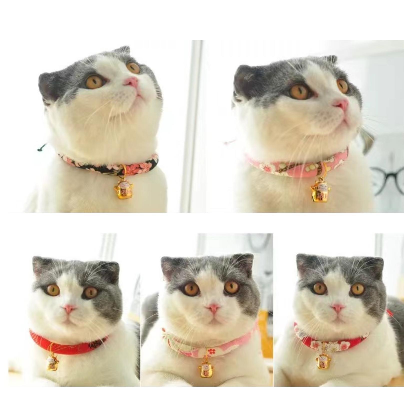 Japanese Style Flower Fusion Pet Collar - {{product.type}} - PawPawUp