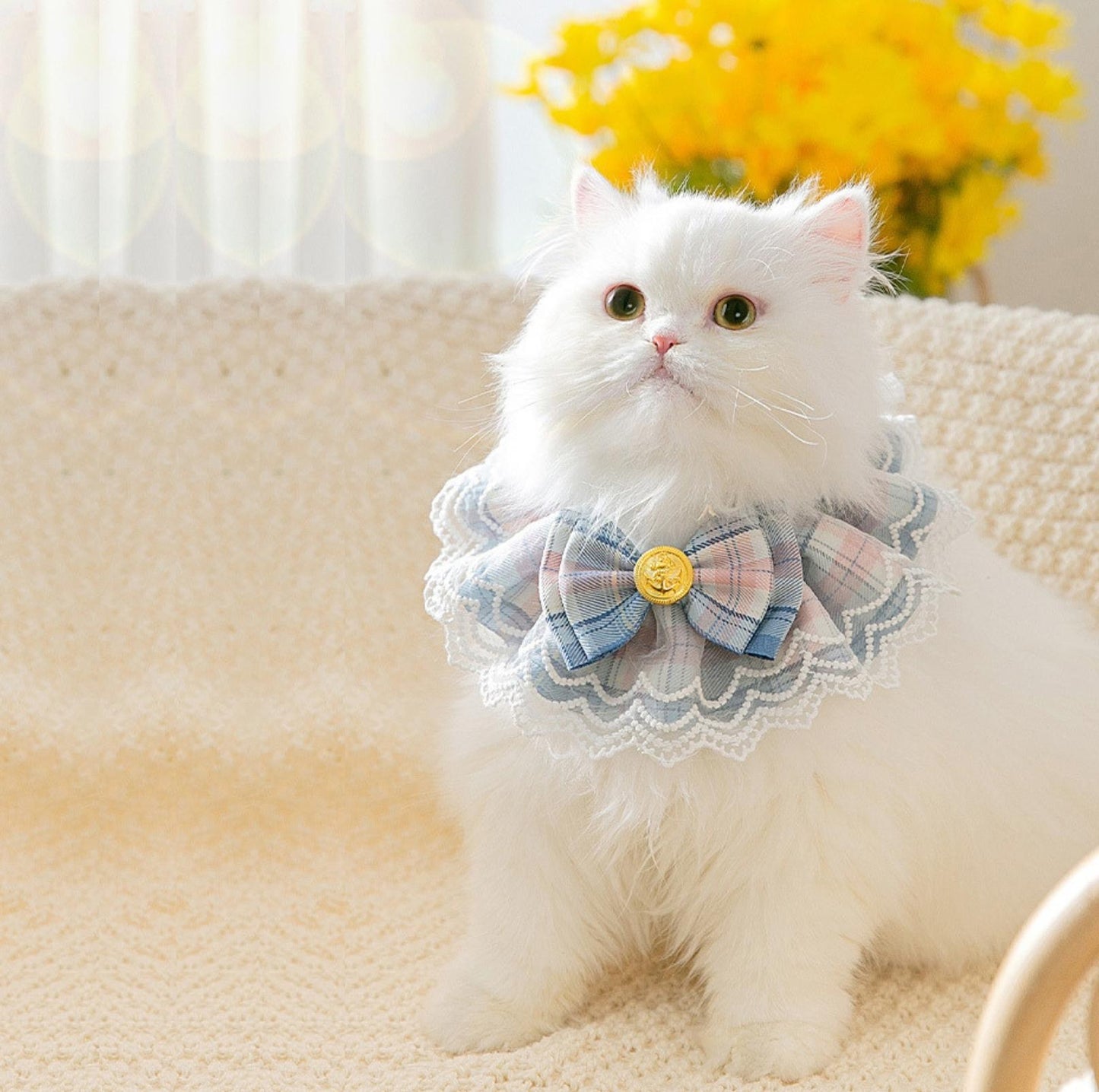 JK Style Cute Pet Bib With Lace and Bow Decors Pet Accessories - {{product.type}} - PawPawUp