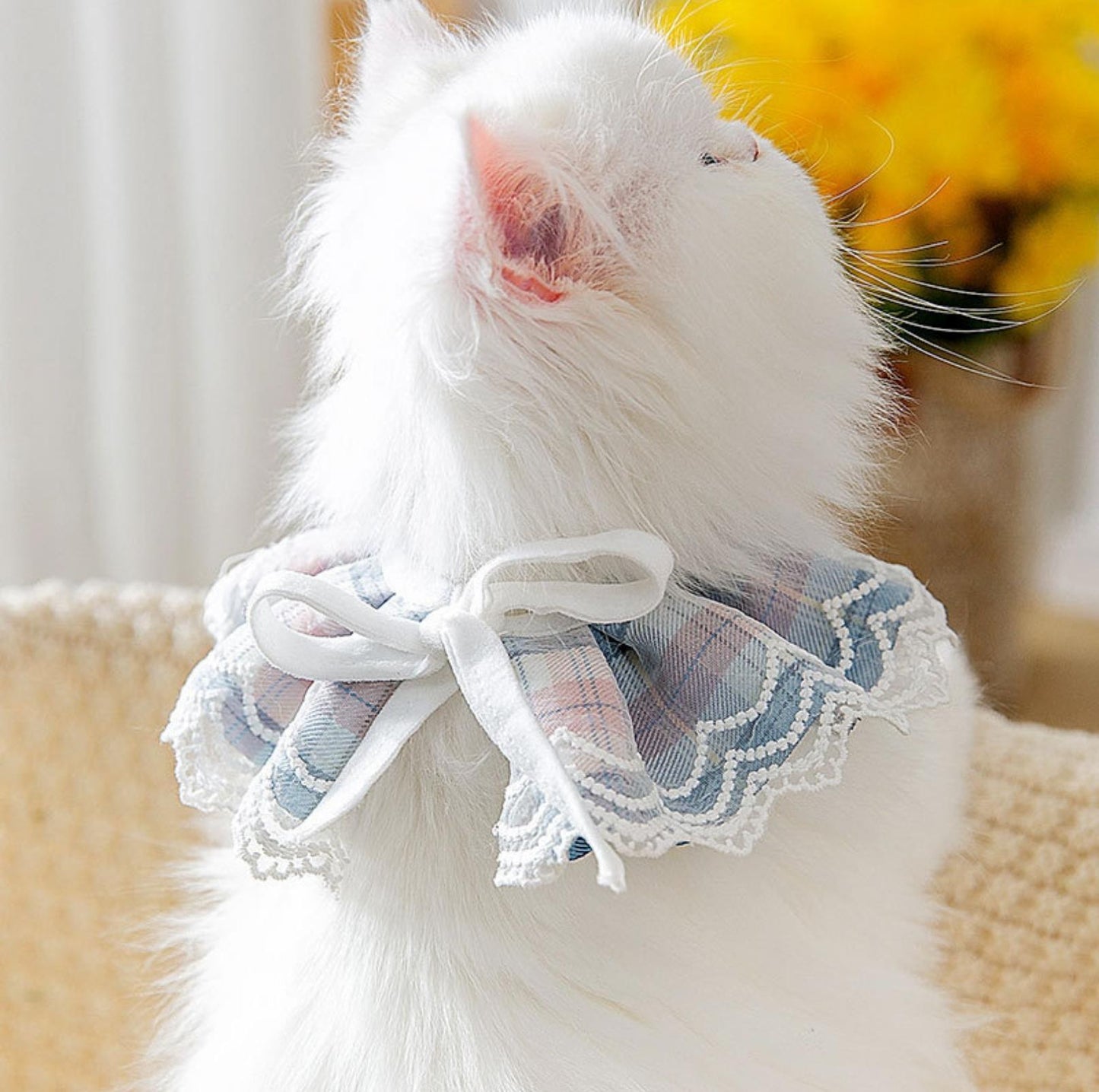 JK Style Cute Pet Bib With Lace and Bow Decors Pet Accessories - {{product.type}} - PawPawUp