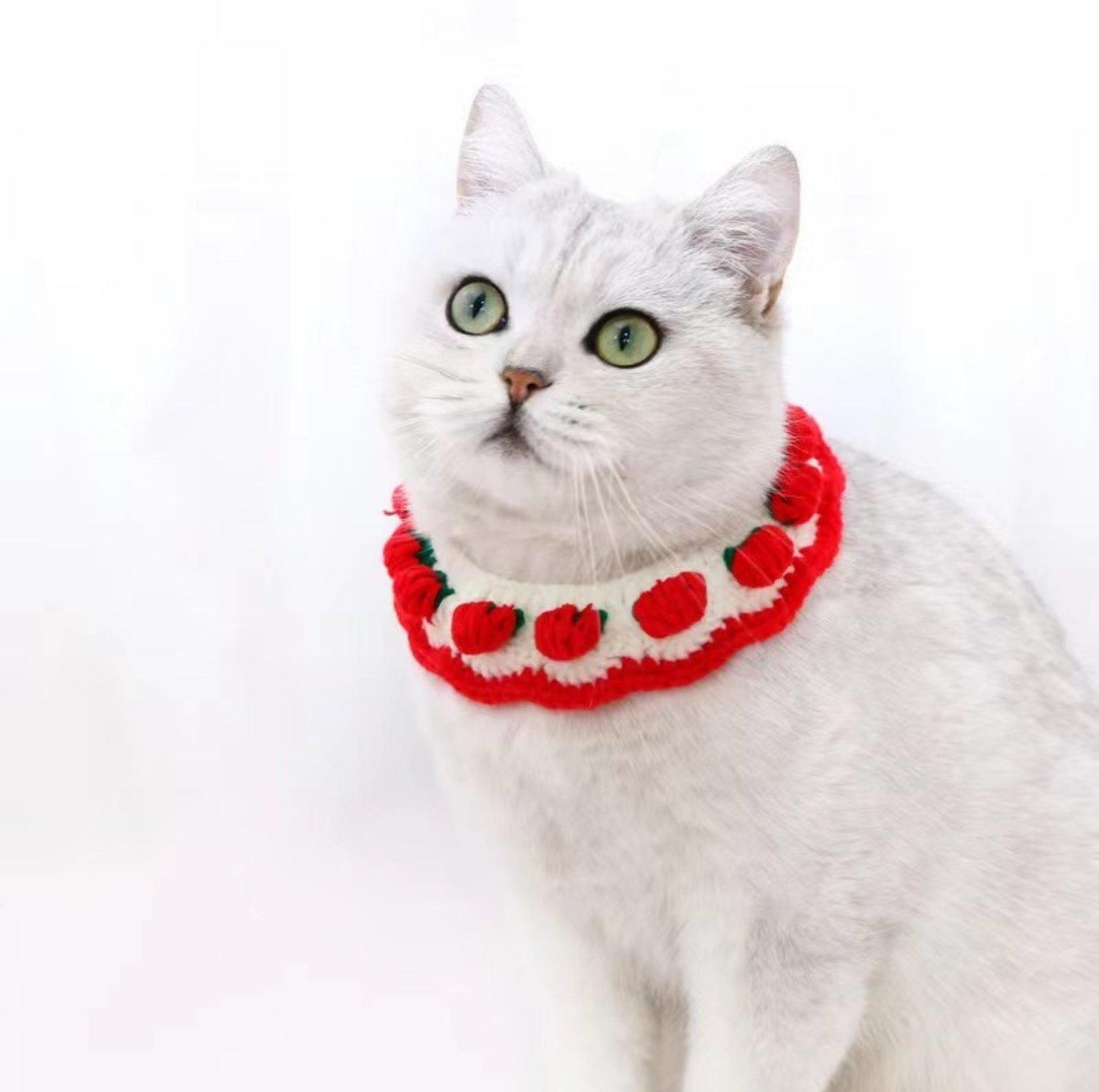 Knitted Cute Strawberry Pet Collar - {{product.type}} - PawPawUp