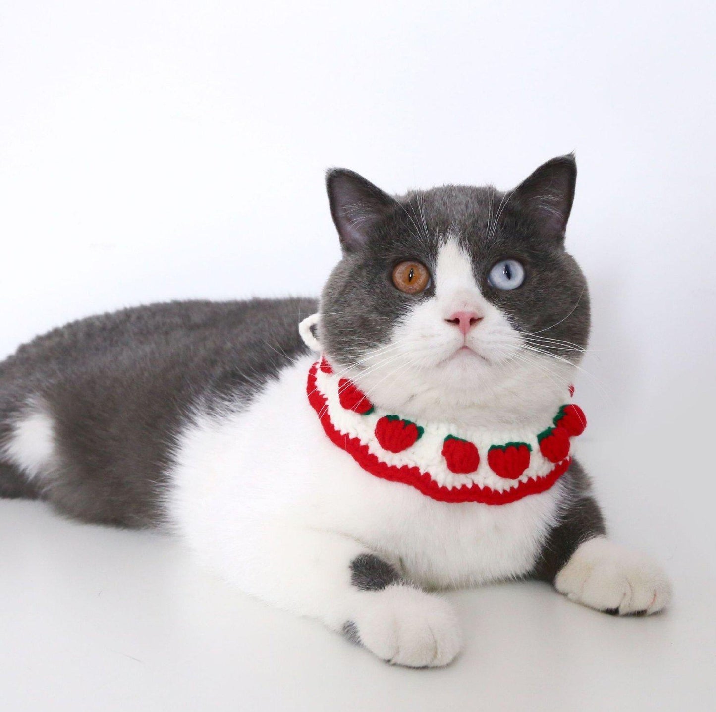 Knitted Cute Strawberry Pet Collar - {{product.type}} - PawPawUp