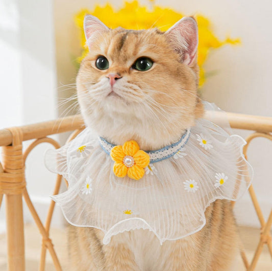 Lace Bib & Floral Necktie for Cats and Dogs - {{product.type}} - PawPawUp