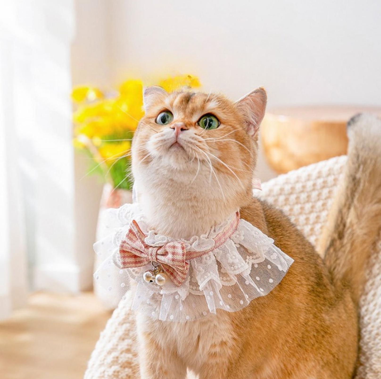 Lace-Decorated Plaid Bowtie Pet Bib with Bell - {{product.type}} - PawPawUp