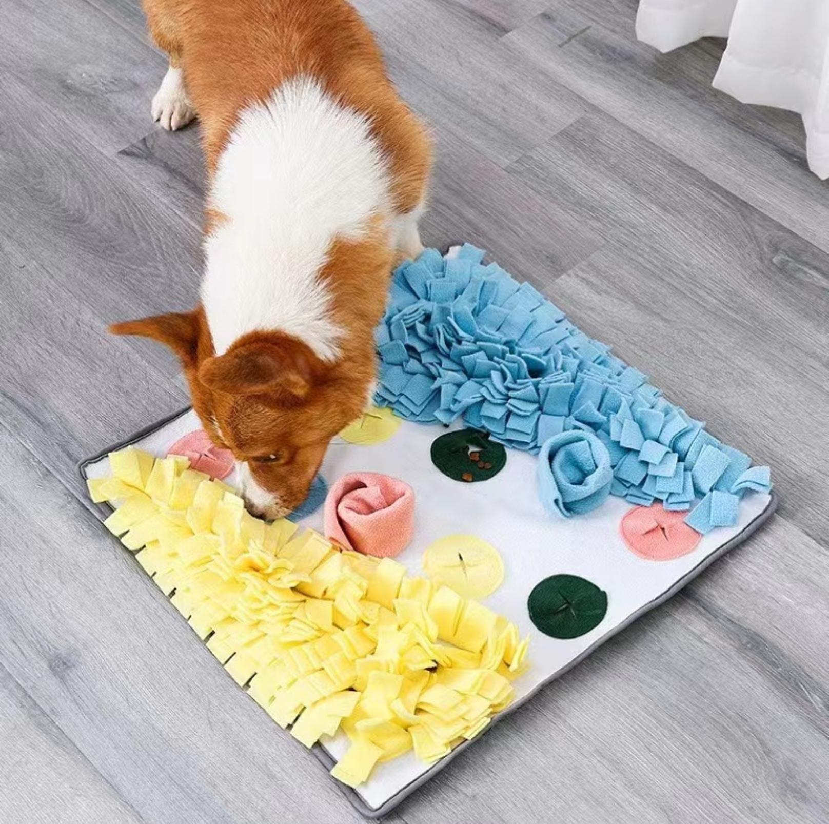Large Dog Snuffle Mat Puzzle Training Toy - {{product.type}} - PawPawUp