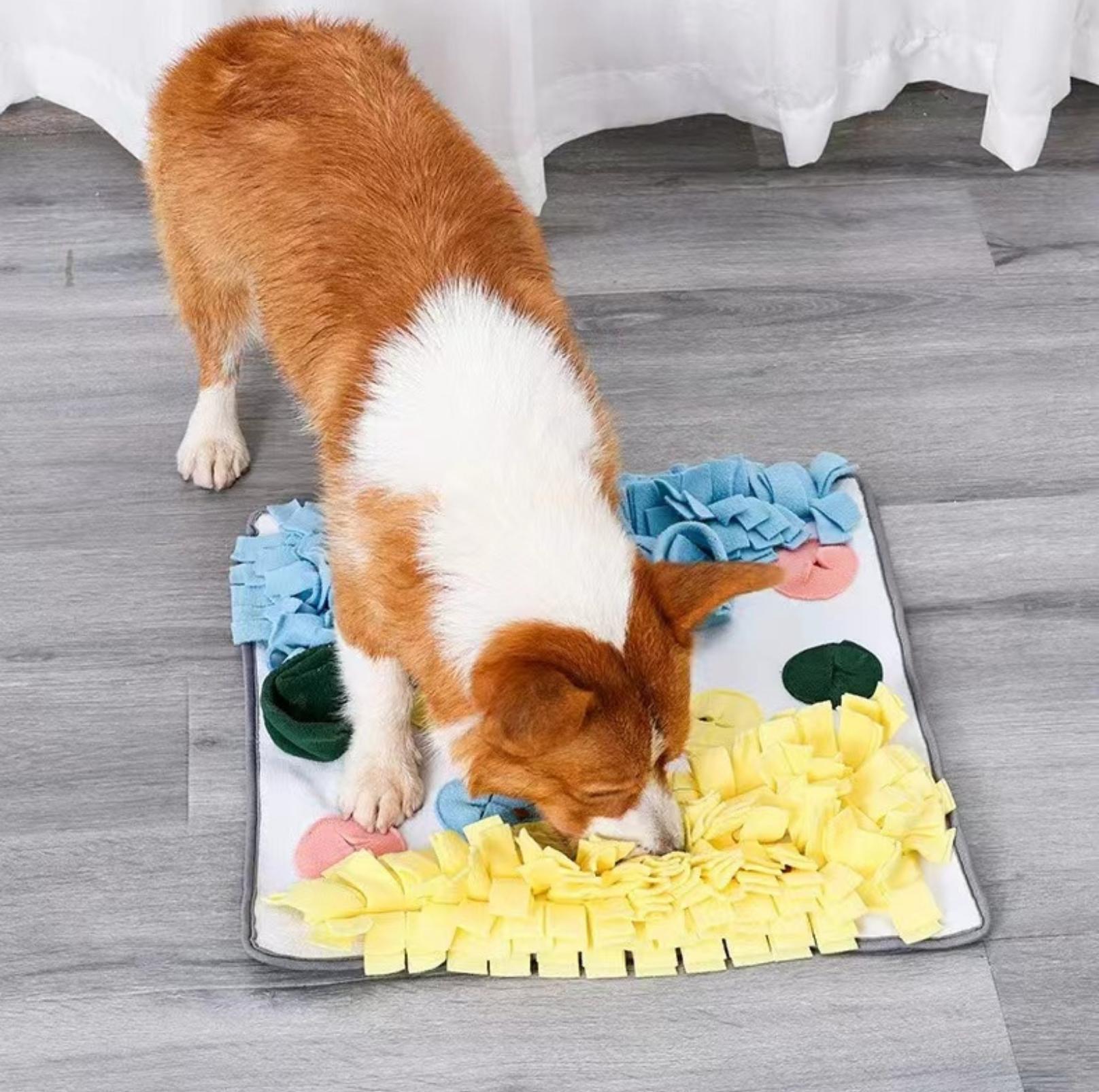 Large Dog Snuffle Mat Puzzle Training Toy - {{product.type}} - PawPawUp