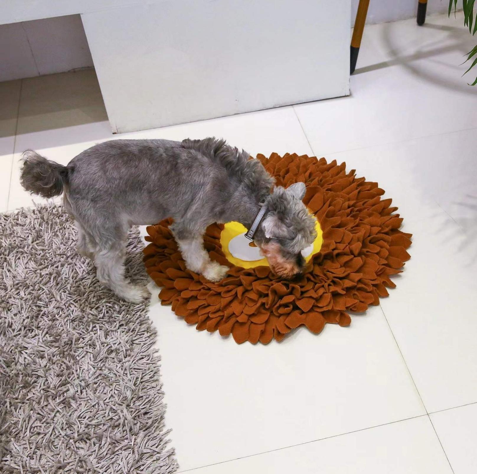 Lion Snuffle Mat - Engaging Snuffle Toy for Dogs - {{product.type}} - PawPawUp