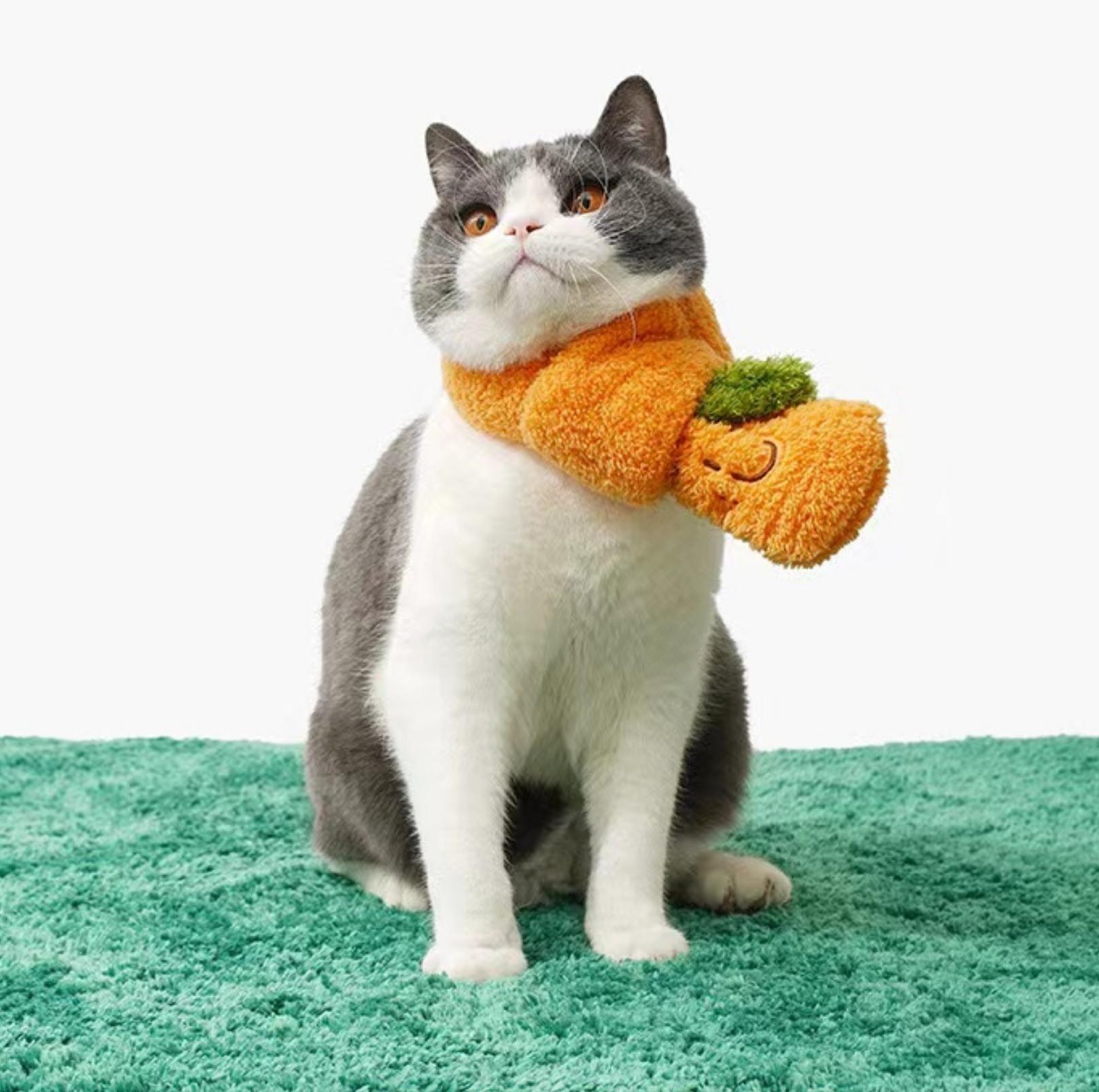 Lucky Orange Collection Large Gift Box: The Best Gift For Cats And Paw-rents ZeZe - {{product.type}} - PawPawUp