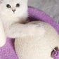 Madden Sweet Lollipop Sisal Vertical Cat Scratching Post Cat Scratcher - {{product.type}} - PawPawUp