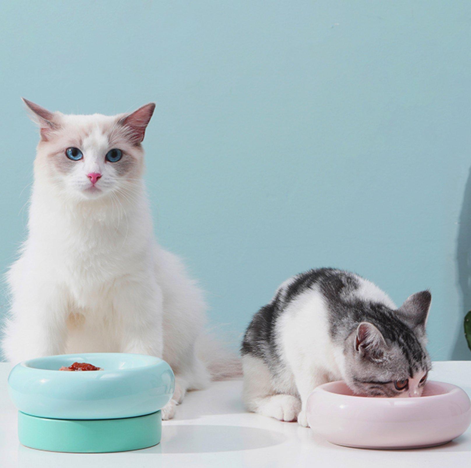 Ceramic water outlet bowl for cats