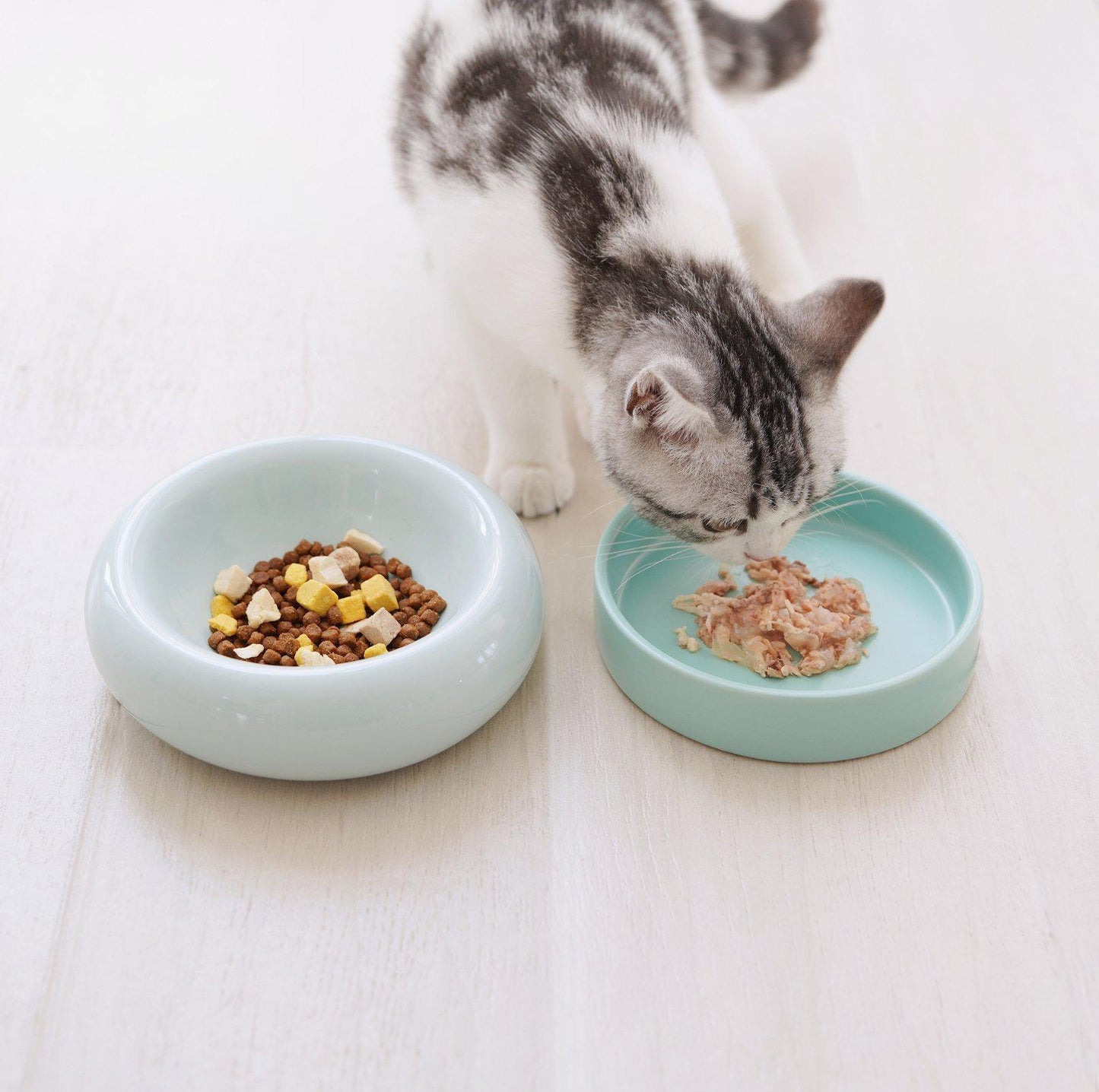 Makesure Ceramic Pet Cat and Small Dog Bowls - {{product.type}} - PawPawUp