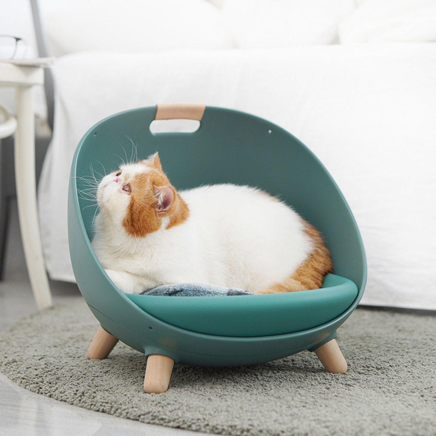 Makesure DAFU 4in1 Cat Bed Sofa with Hanging Stripe and Cushion - {{product.type}} - PawPawUp