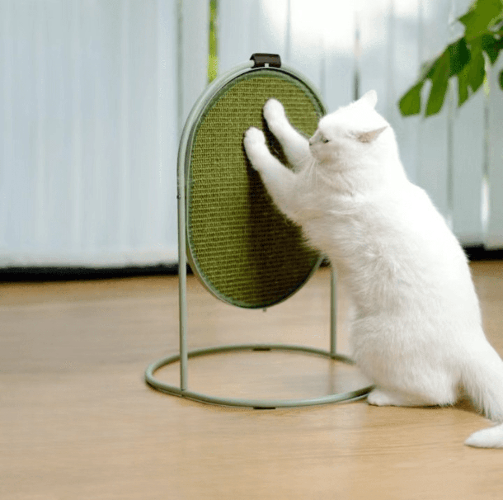 Makesure Multifunctional Cat Scratcher | Sisal Standing Scratching Board - {{product.type}} - PawPawUp