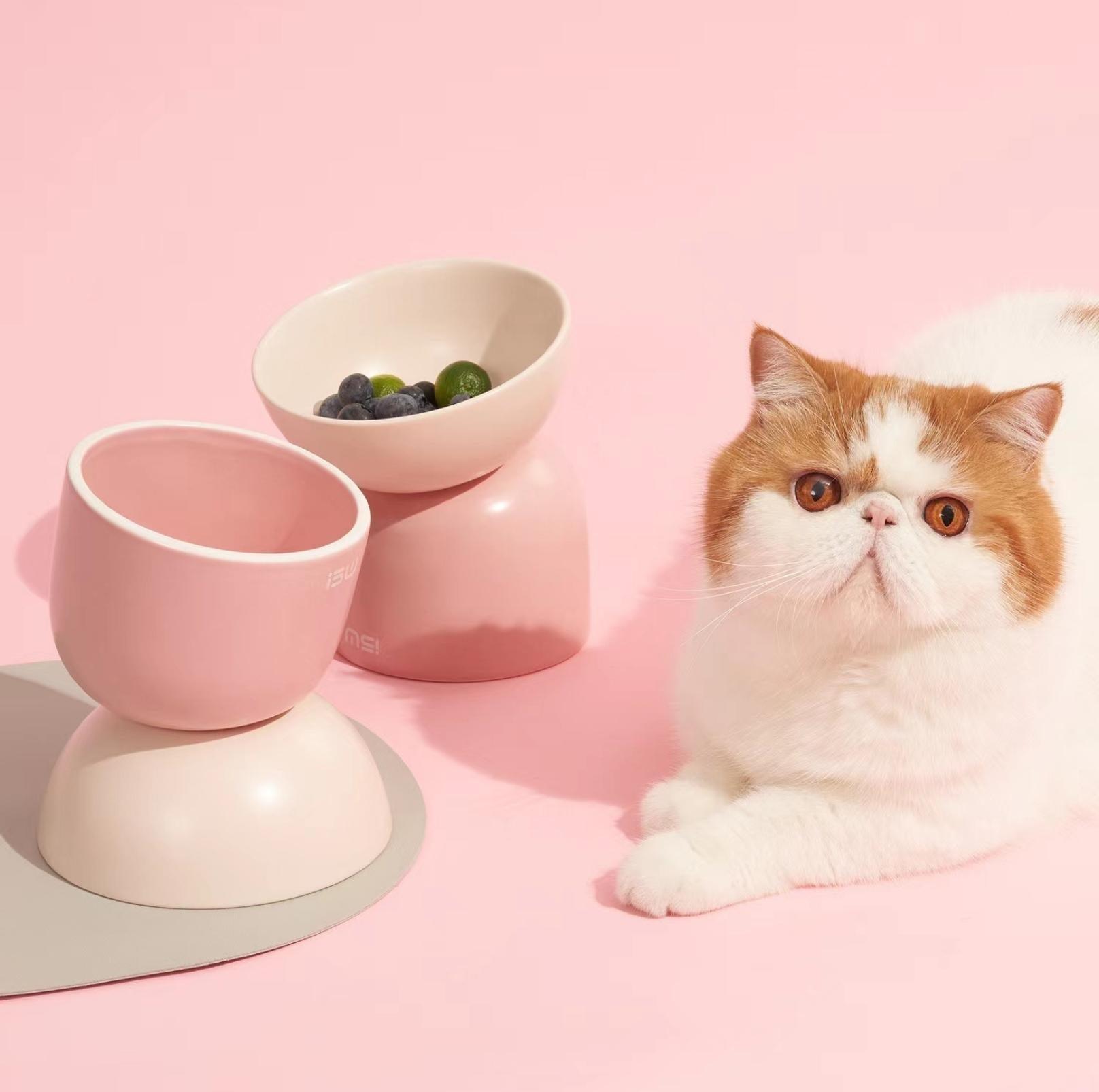 Makesure Sugar Bean Ceramic Double Pet Bowls For Cat and Small