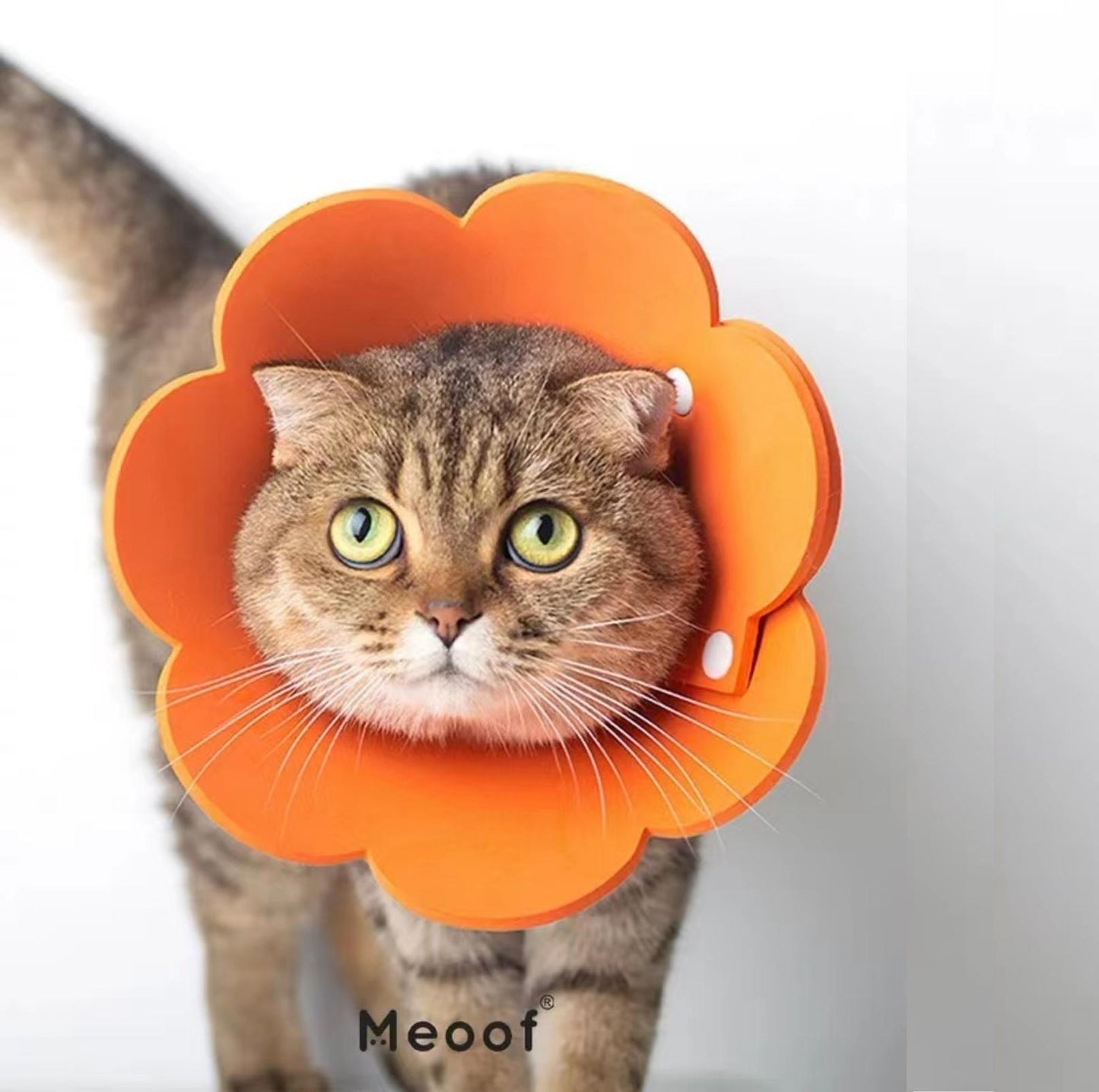 Meoof Sunflower E-Collar - Lightweight & Stylish for Cats & Dogs - {{product.type}} - PawPawUp