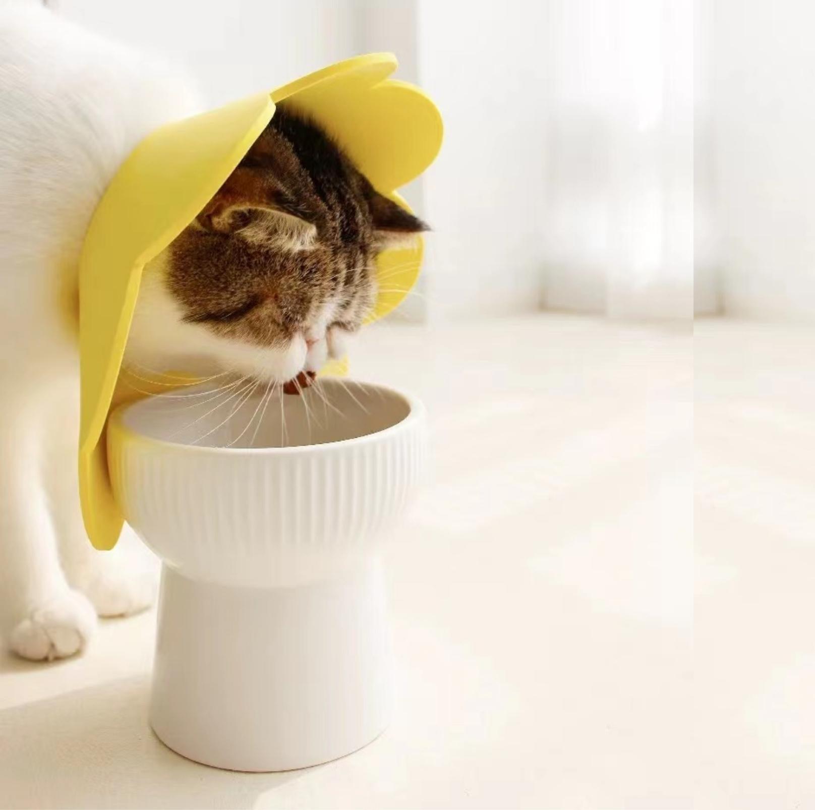 Cat bowl that top opens with collar