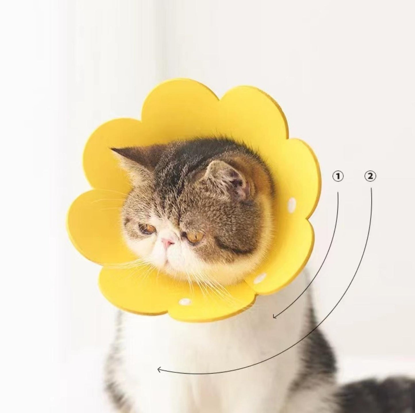 Meoof Sunflower E-Collar - Lightweight & Stylish for Cats & Dogs - {{product.type}} - PawPawUp