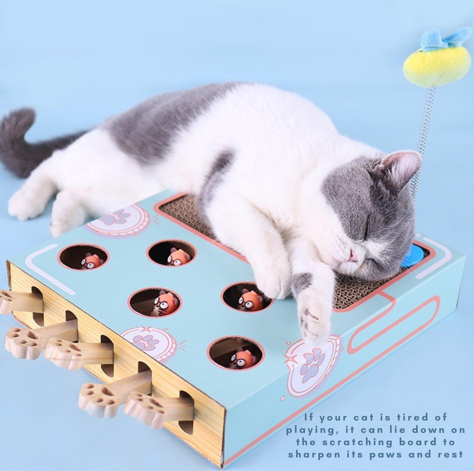 MIAOFAIRY Whack-a-Mole 3-in-1 Cat Scratcher and Toy - {{product.type}} - PawPawUp