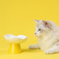 Miaoho Ceramic Bloom Cat Bowls Small Dog Bowls - {{product.type}} - PawPawUp