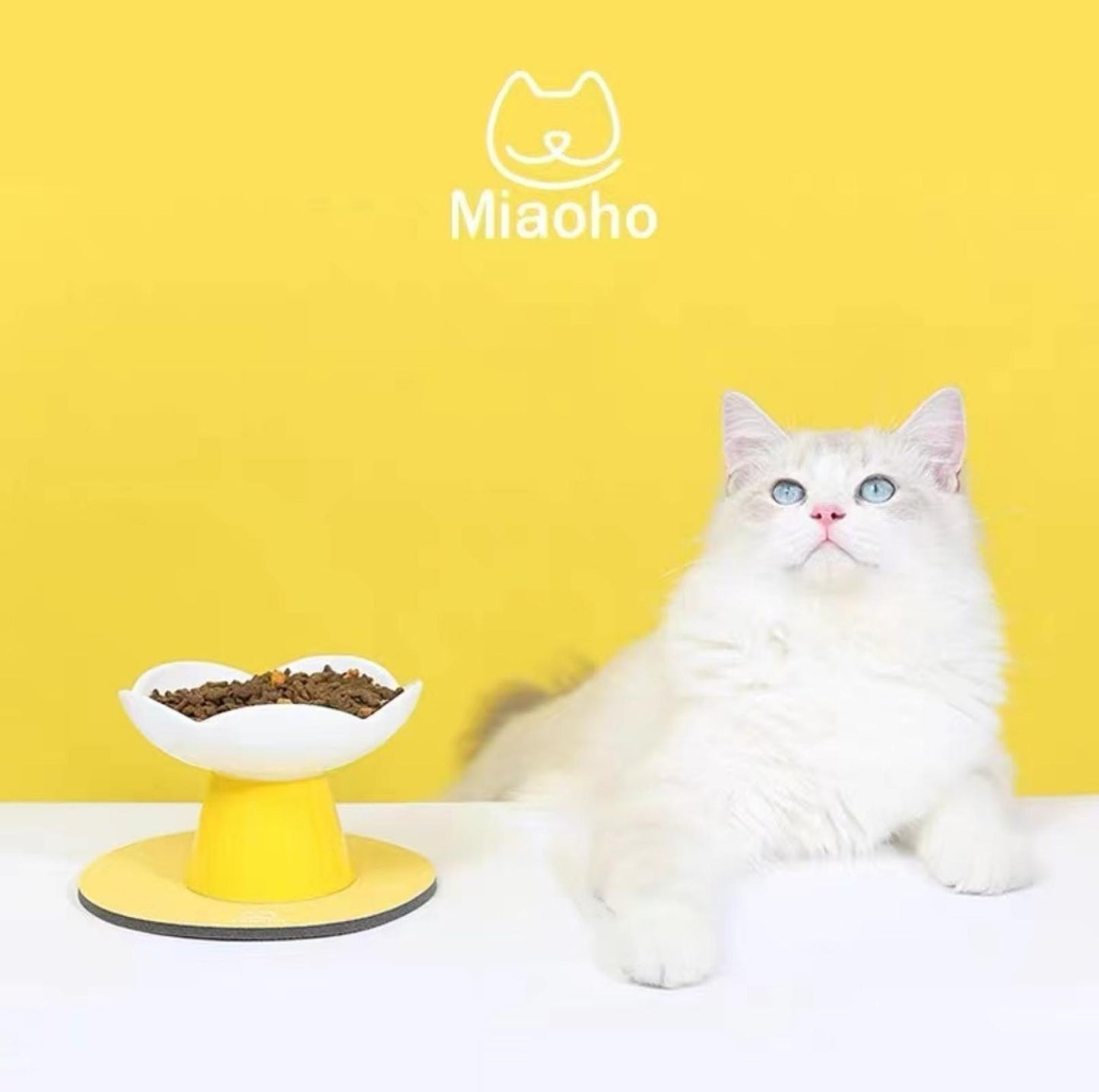 Miaoho Ceramic Bloom Cat Bowls Small Dog Bowls - {{product.type}} - PawPawUp