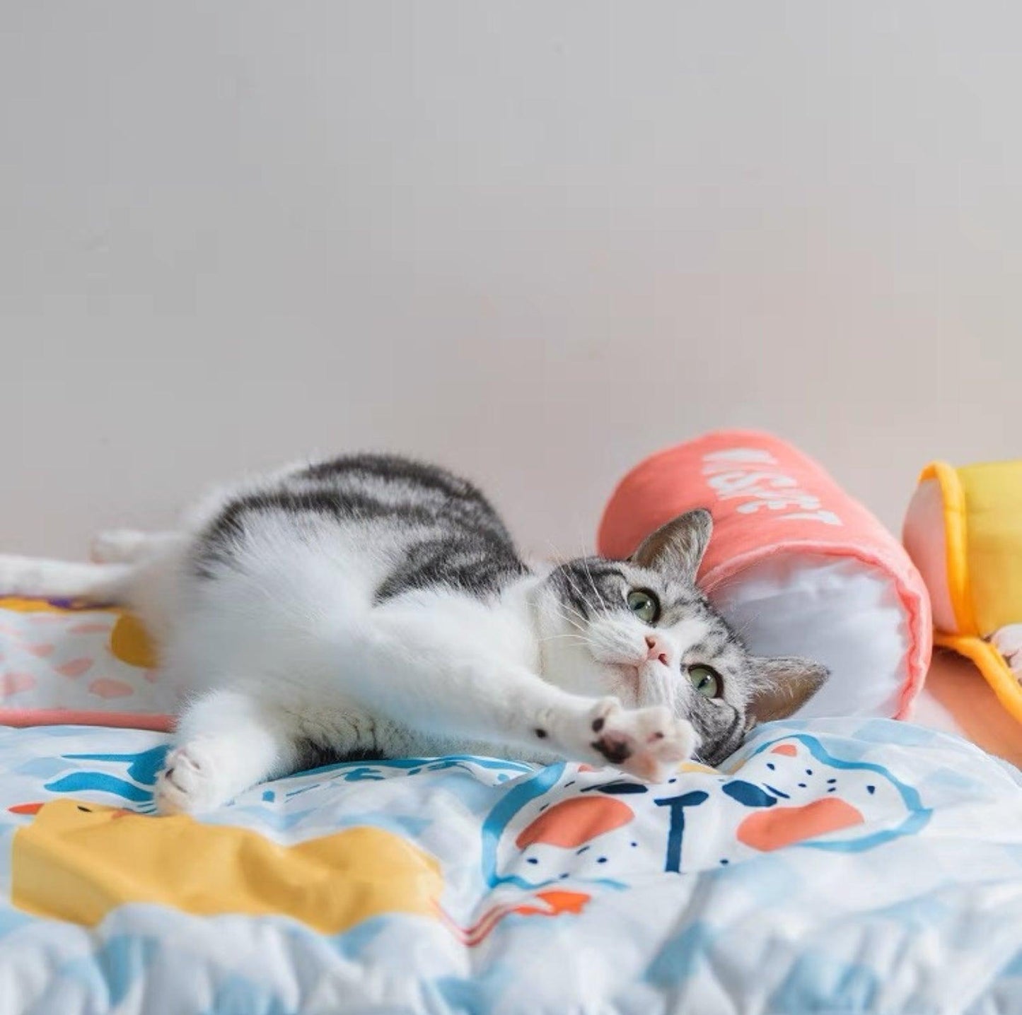 MissPet "My Cool Couch" Cat Bed Dog Bed Made with Cool Feeling Silk - {{product.type}} - PawPawUp