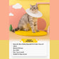 Mr. Meow Weekly Disposable Pet E-Collar (1 box of 4 collars) Elizabeth Collar - {{product.type}} - PawPawUp
