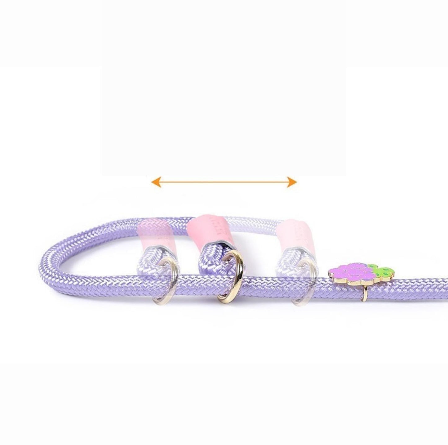 Dog Slip Lead P-leash With Nylon Rope And Cartoon Pattern - {{product.type}} - PawPawUp
