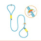 Dog Slip Lead P-leash With Nylon Rope And Cartoon Pattern - {{product.type}} - PawPawUp