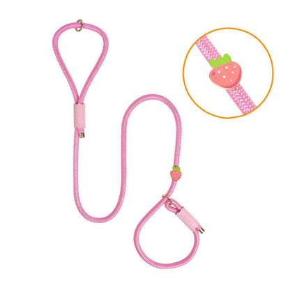 Dog Slip Lead P-leash With Nylon Rope And Cartoon Pattern - {{product.type}} - PawPawUp