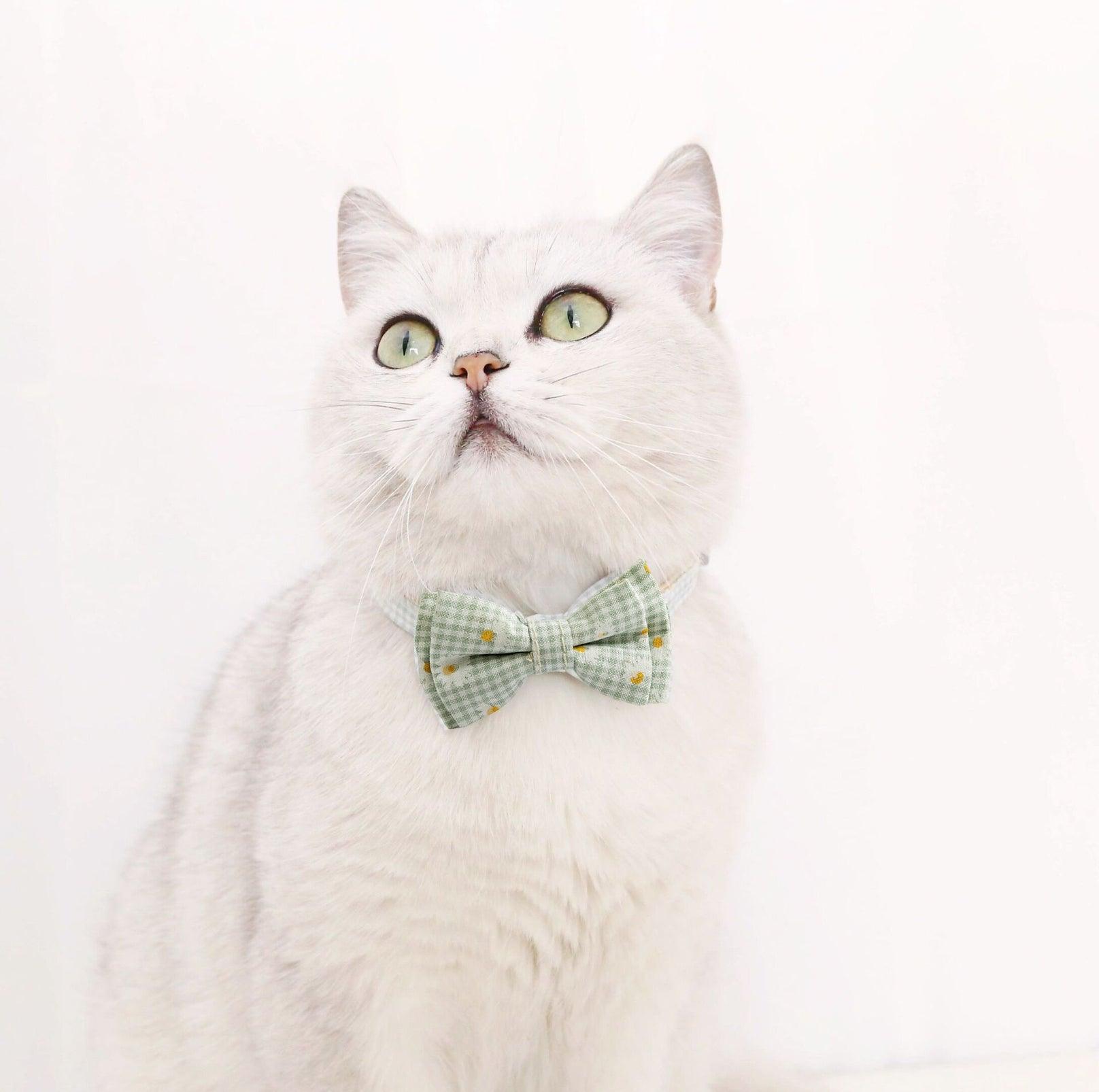Pet Adjustable Bow Collar with Daisy Pattern - {{product.type}} - PawPawUp