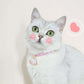 Pet Animal Shape Pendant Necklace With Candy Coloured - {{product.type}} - PawPawUp