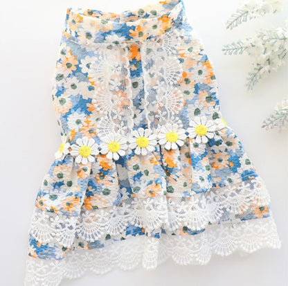 Pet Blue Flowerl Dress - {{product.type}} - PawPawUp