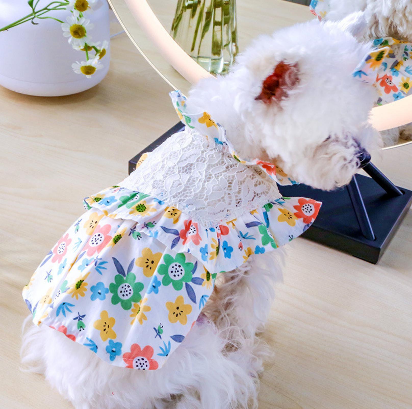 Pet Lace Flower Dress - {{product.type}} - PawPawUp