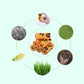 Pet Waste Bag (poop bag) 18 Rolls EPI Biodegradable - {{product.type}} - PawPawUp