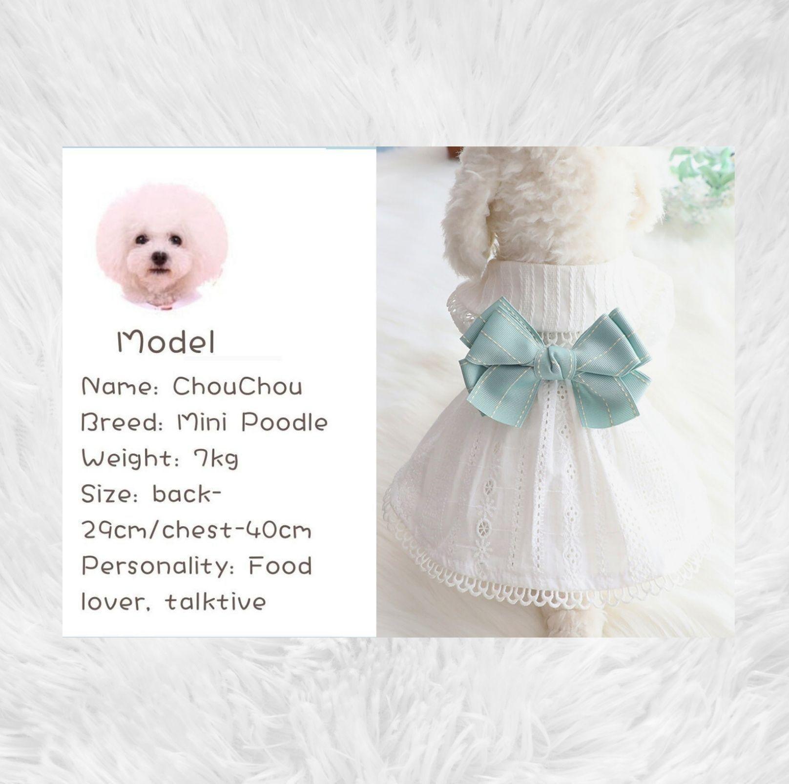 Pet White Dress with Mink Blue Bow - {{product.type}} - PawPawUp