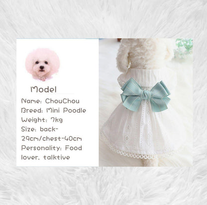 Pet White Dress with Mink Blue Bow - {{product.type}} - PawPawUp